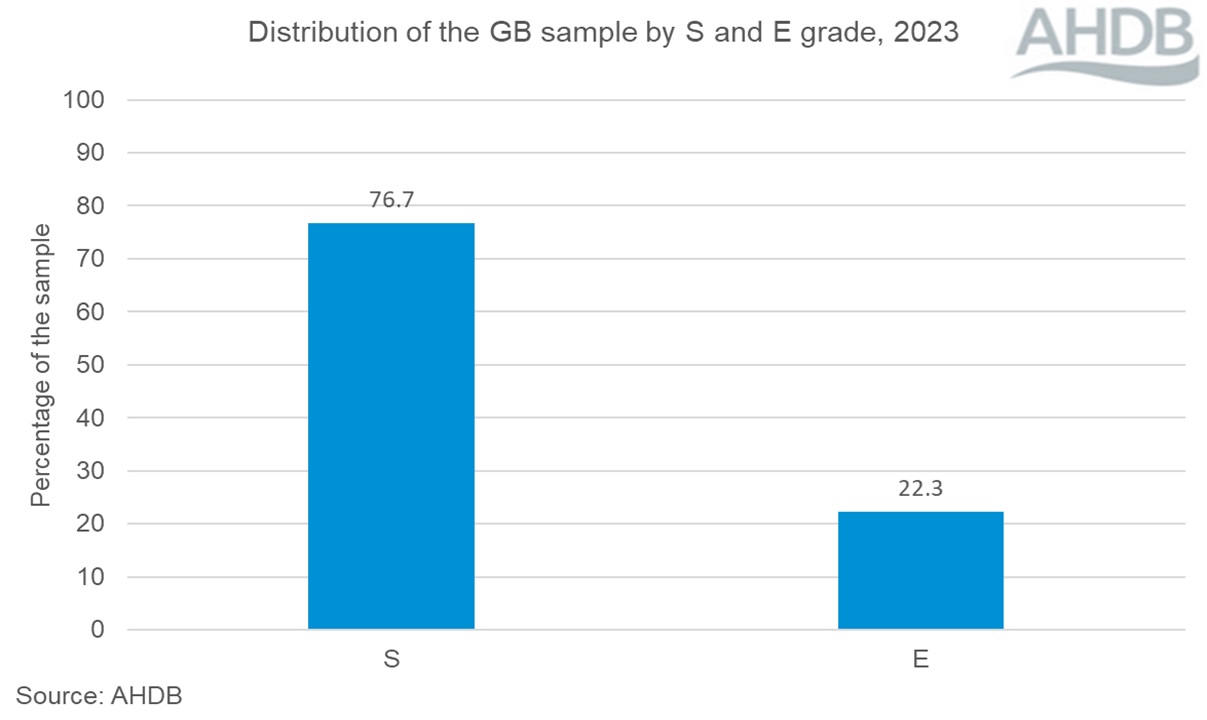 Distribution of GB sample by S and E grade graph 2023.